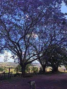 Hillview Cottages Kingaroy
