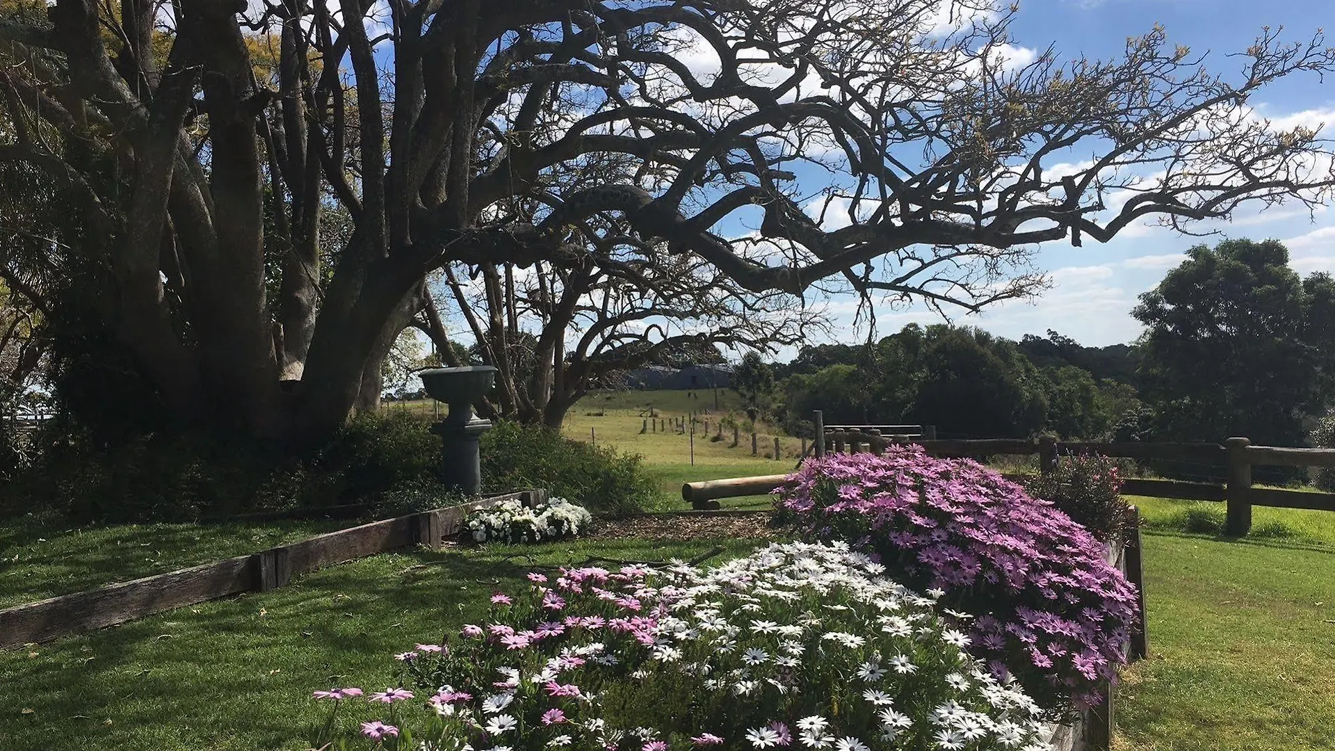 Hillview Cottages Kingaroy Country house